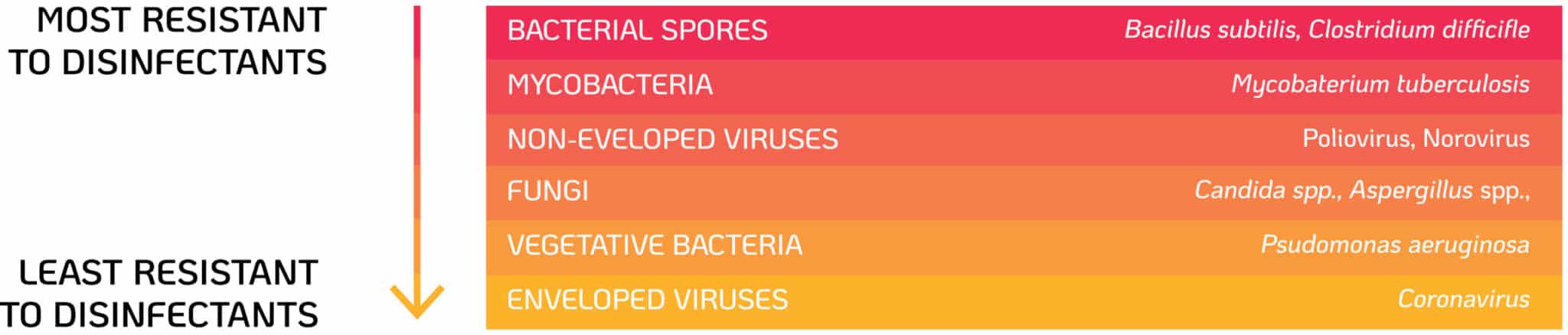 Most to Least Resistant to Disinfectants