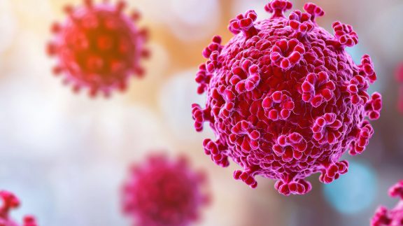 Vue microscopique du virus HPV (illustration).
