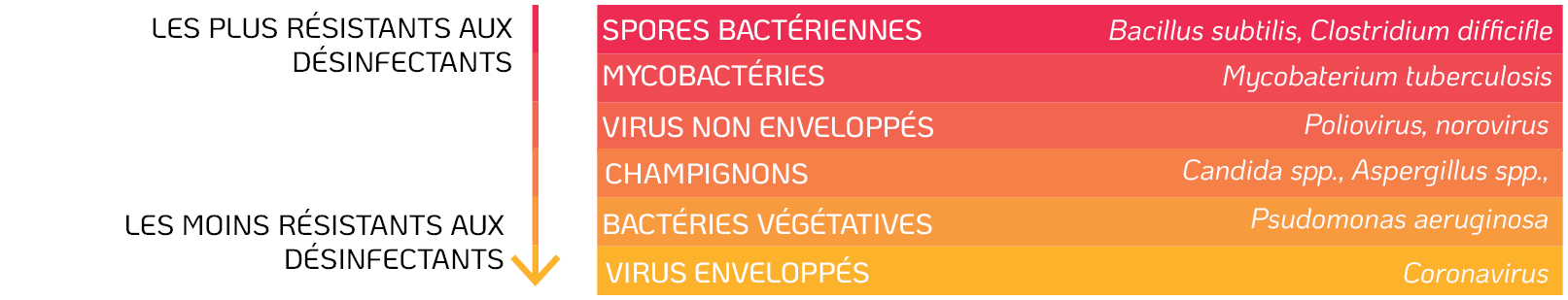 Résistance des micro-organismes aux désinfectants 