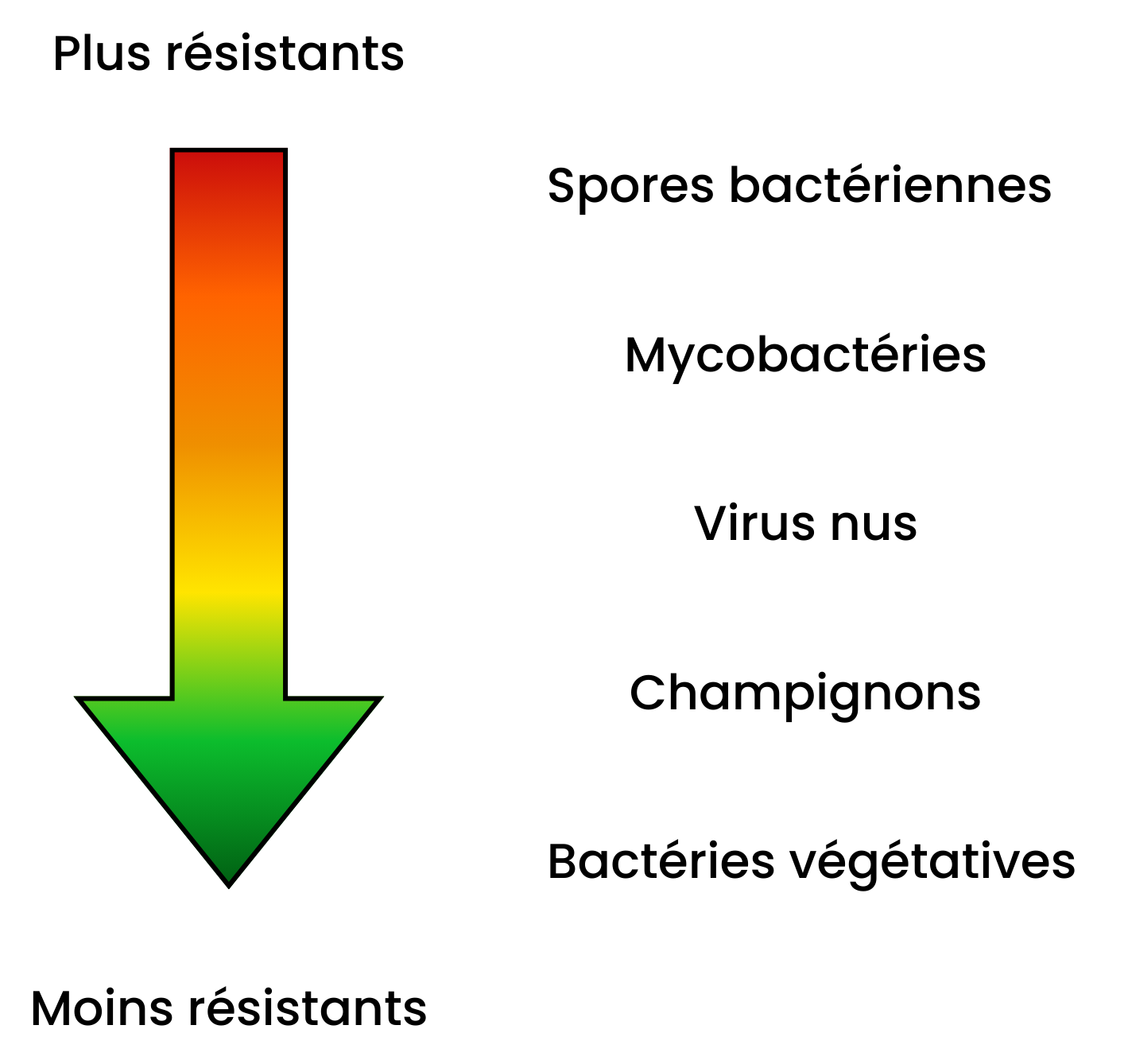 Résistance des micro-organismes aux désinfectants: spores bactériennes, mycobactéries, virus nus, champignons et bactéries végétative.