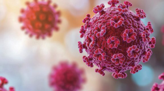 Risque invisible : quand le HPV impose de repenser la désinfection en gynécologie