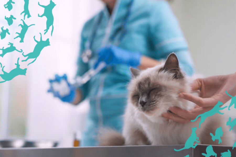Veterinary Device Disinfectants