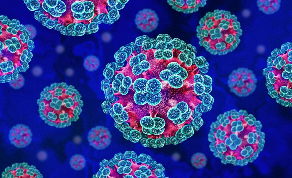 hantavirus